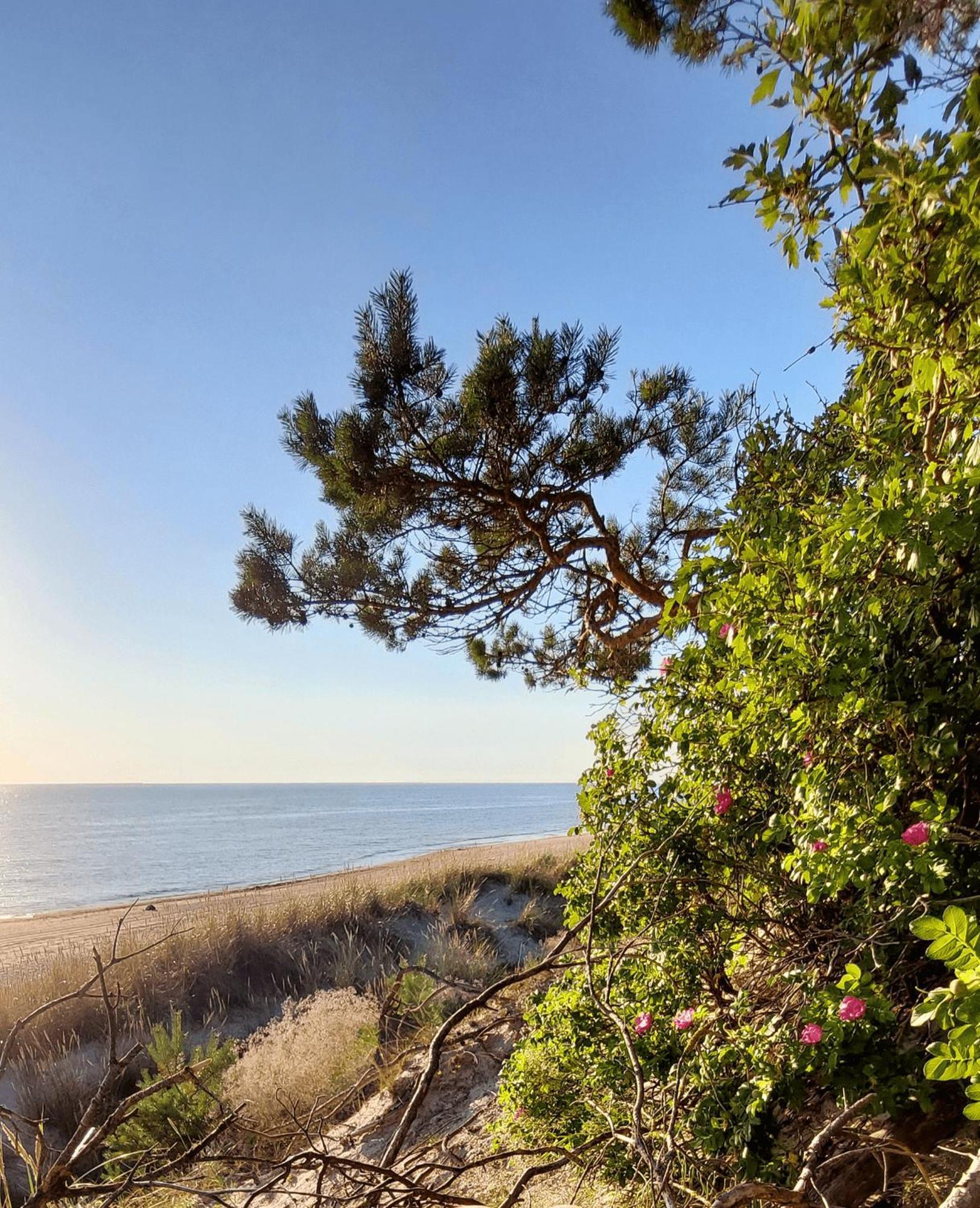 Smiltis Cozy, 5 Minutes Walk To Seaside , Free Parking *